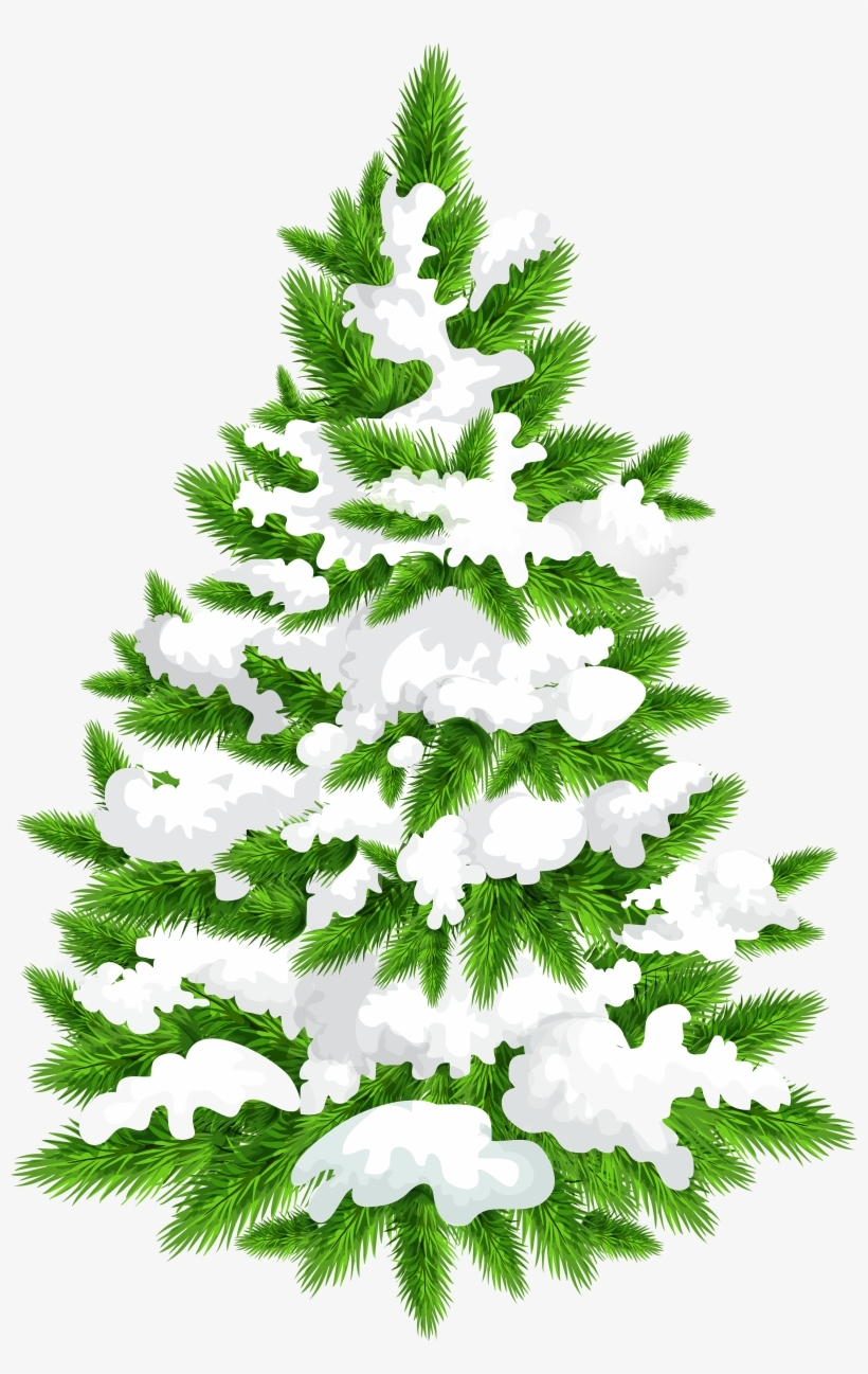 Snowy Pine Tree Png Clip Art Image - Clip Art, transparent png