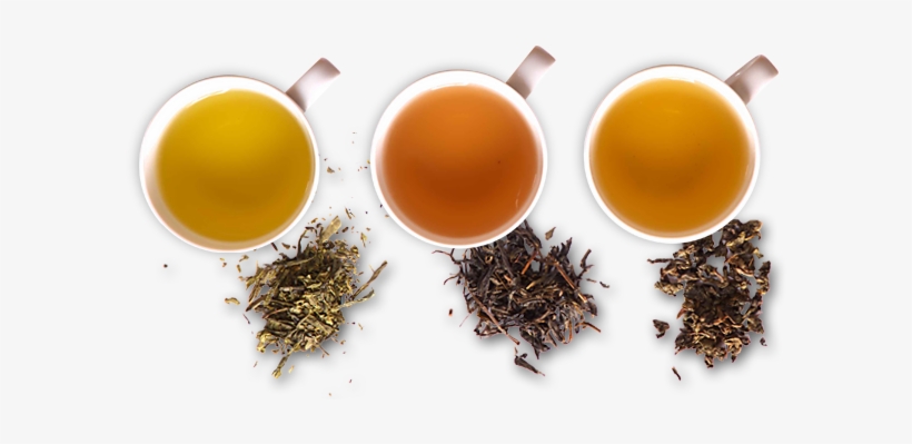 Premium Quality Tea - Tea Fermentation, transparent png