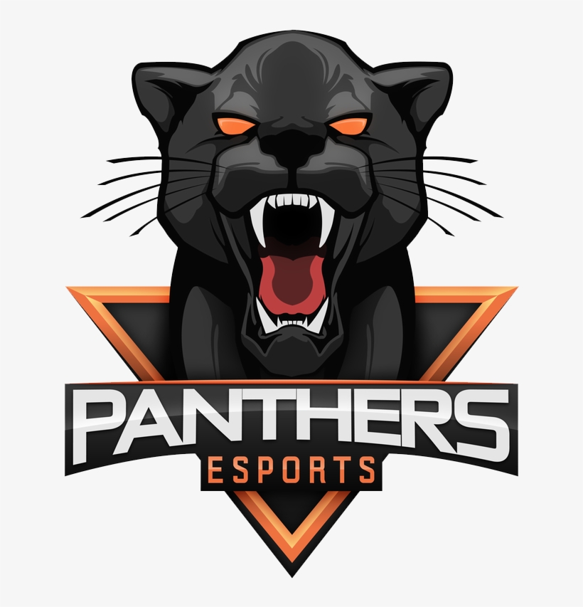 Team's Logo Panthers Esports - Panthers Esports, transparent png