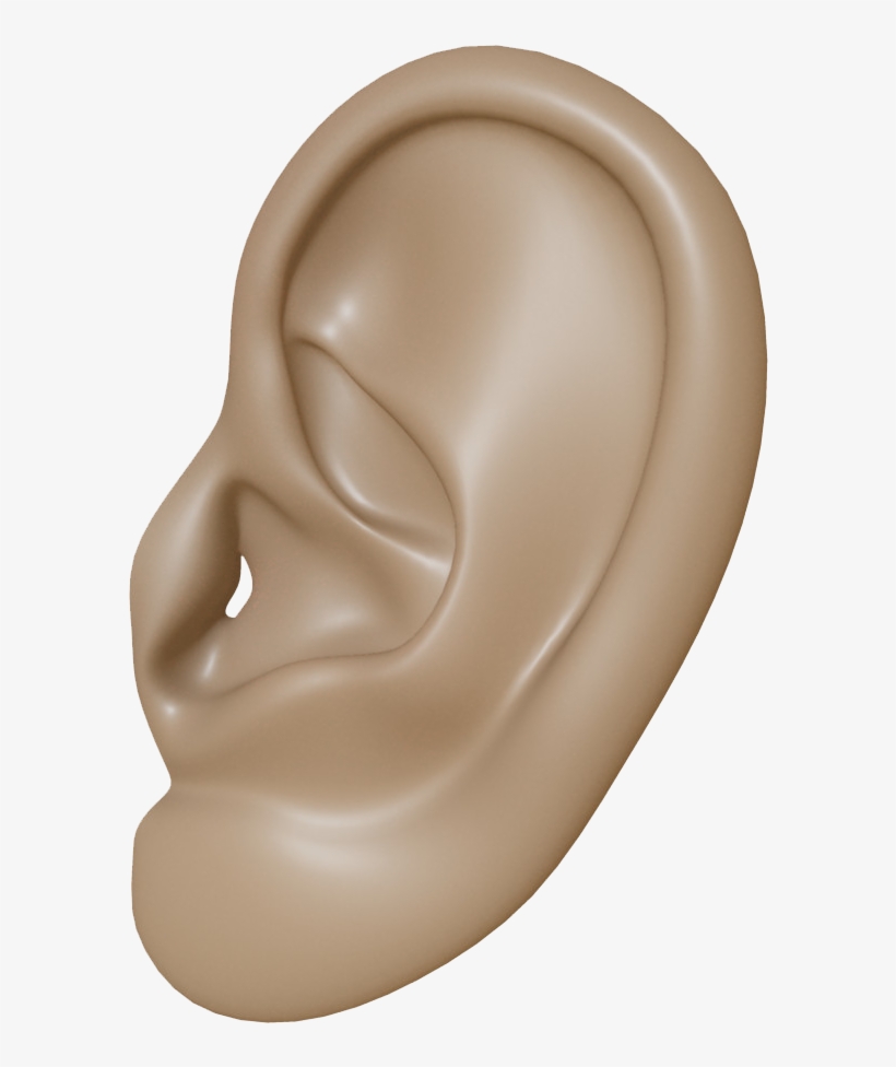 Ear Png Clipart - Ear, transparent png