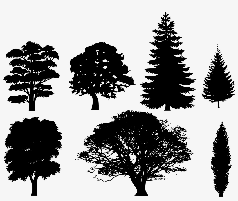 Tree Silhouettes Clip Art At - Tree Silhouette Vector, transparent png