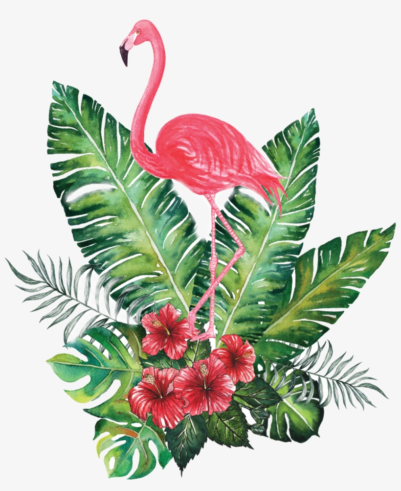 Diseña Bonito - Flamingo Png, transparent png