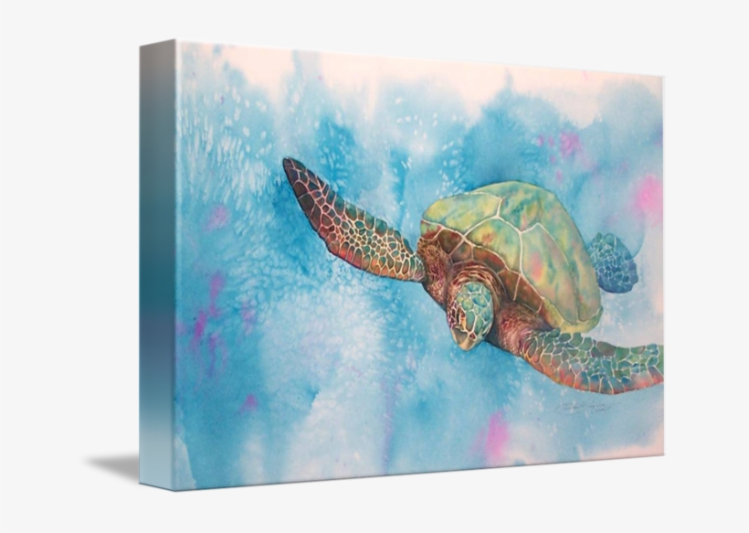 Sea Turtle 08 By Mvlc1 Sea Turtle Art, Sea Turtles, - Gallery-wrapped Canvas Art Print 16 X 11 Entitled Sea, transparent png