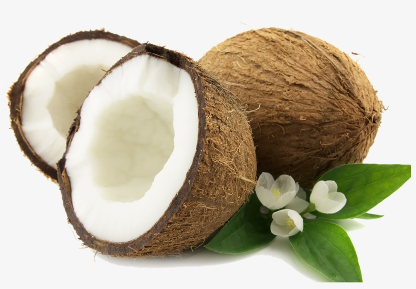 Coconut Png, transparent png