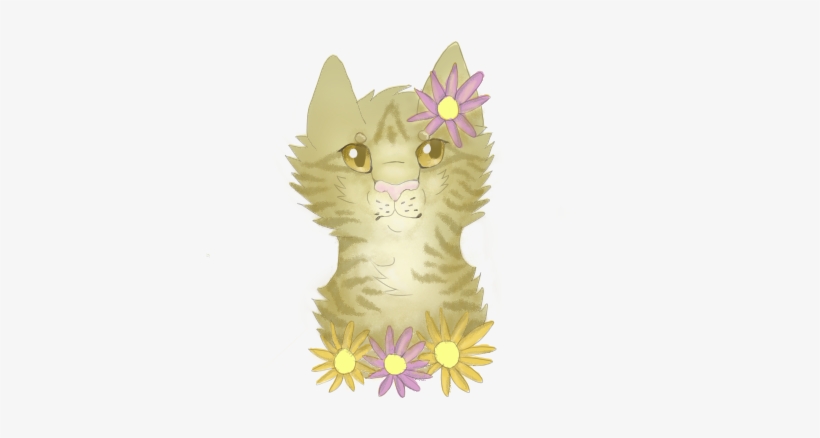 Salem's Request - Tabby Cat, transparent png