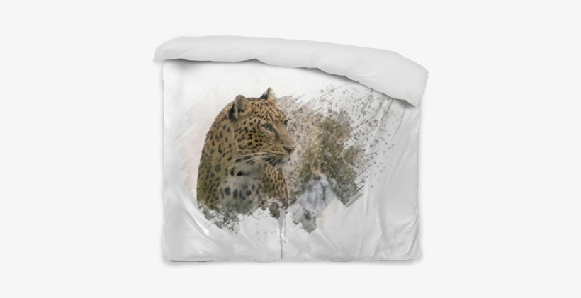 Portrait, transparent png