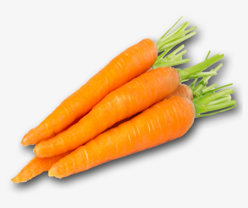 Carrot Png Pic Object With Color Orange 800x800 PNG Download PNGkit