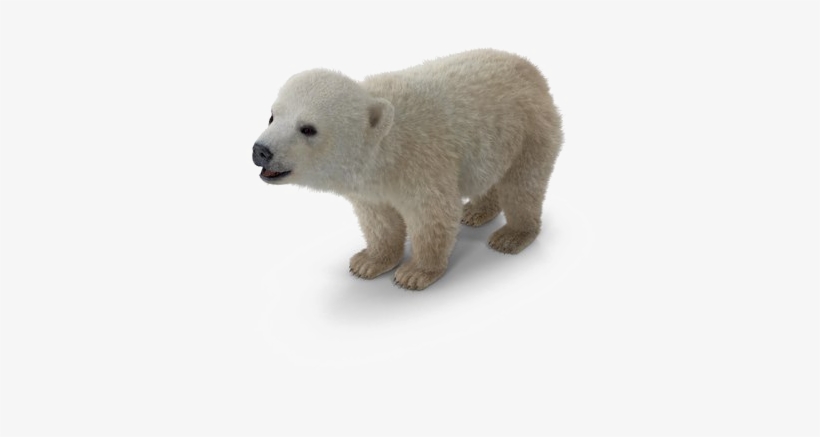 Polar Bear Png Background Image - Polar Bear, transparent png