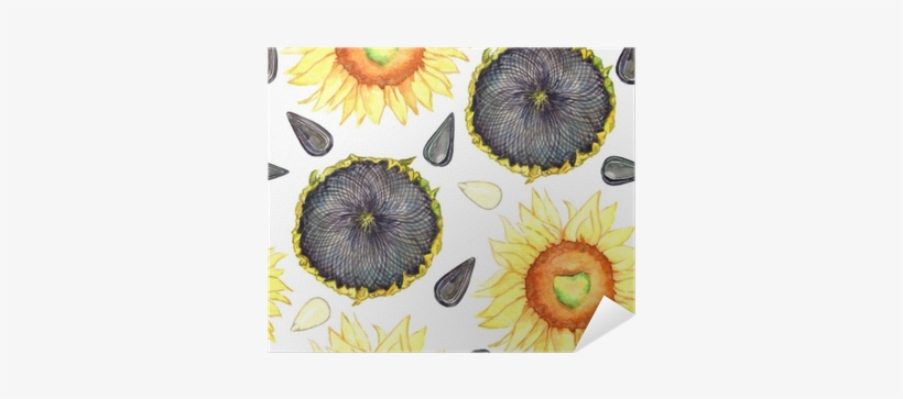 Sunflower Blooming, Ripe Head And Seeds, Seamless Pattern - Seed, transparent png