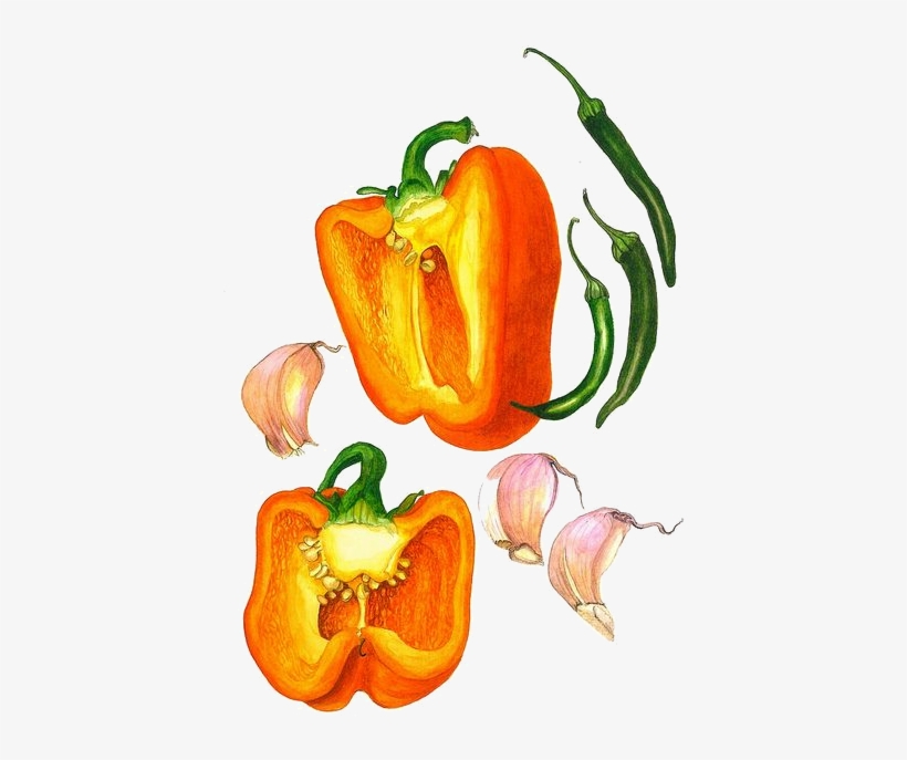 Frutas E Legumes - Drawing Vegetables On Newspaper, transparent png