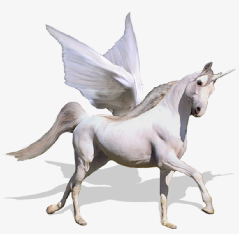 Flying Unicorn Real Png, transparent png