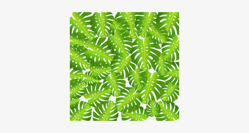Topical Leaf Background Vector, Tropical Flower, Flowers, - Motif, transparent png