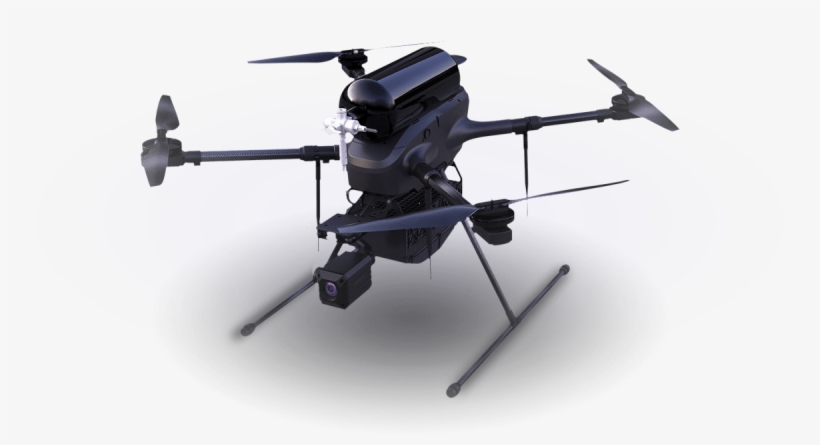 Business & Finance News - Bshark Narwhal 2, transparent png