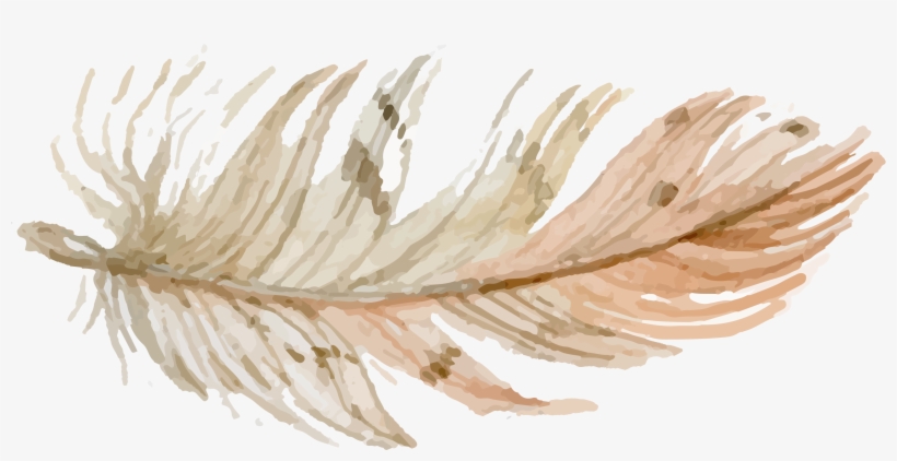 Be - Free Feather Hand Drawing, transparent png