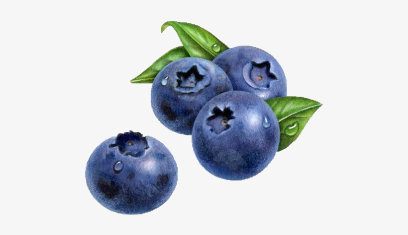 Jpg Black And White Download Blueberry Painting Muffin - Blueberry Painting, transparent png