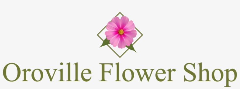 Oroville Flower Shop - Power Of The Cock: How To Get What You Want From Women:, transparent png