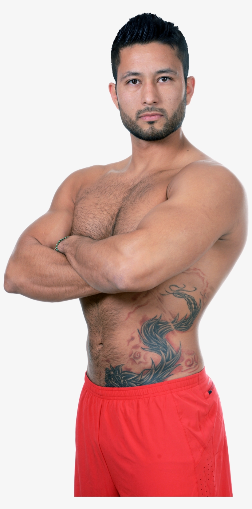 Model Png, transparent png