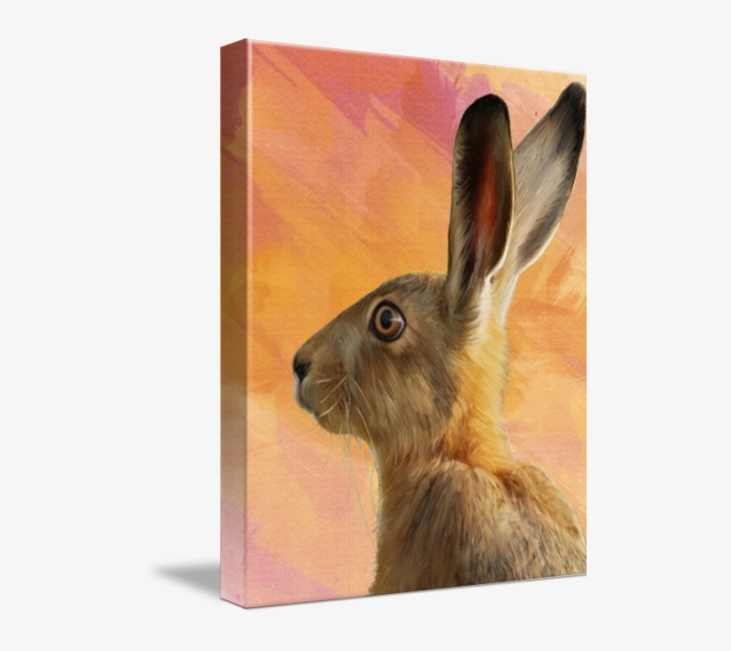 Wild Hare - Wild Hare Note Card, transparent png