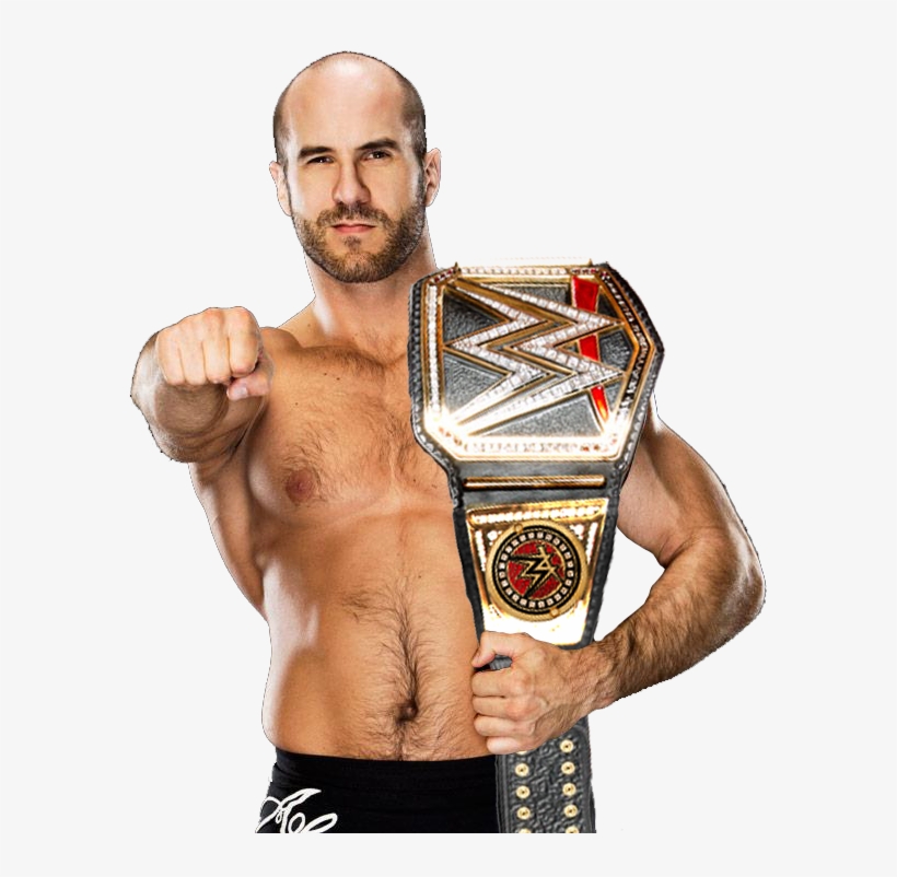 This Looks Damn Good - Wwe World Have Champion, transparent png