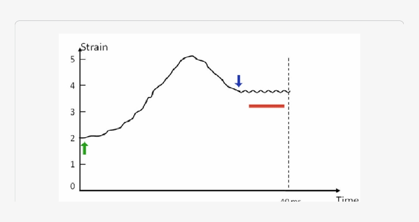 The Tissue Strain Response To A Cw Stress - Diagram, transparent png