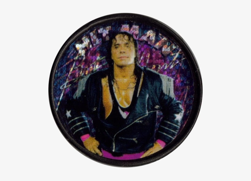 Panini Caps > World Wrestling Federation Slammers Bret - Circle, transparent png