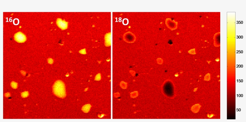 Sims Maps Indicating Native 16o Concentrations And - Pattern, transparent png