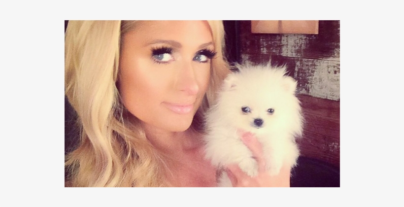 Paris Hilton, transparent png