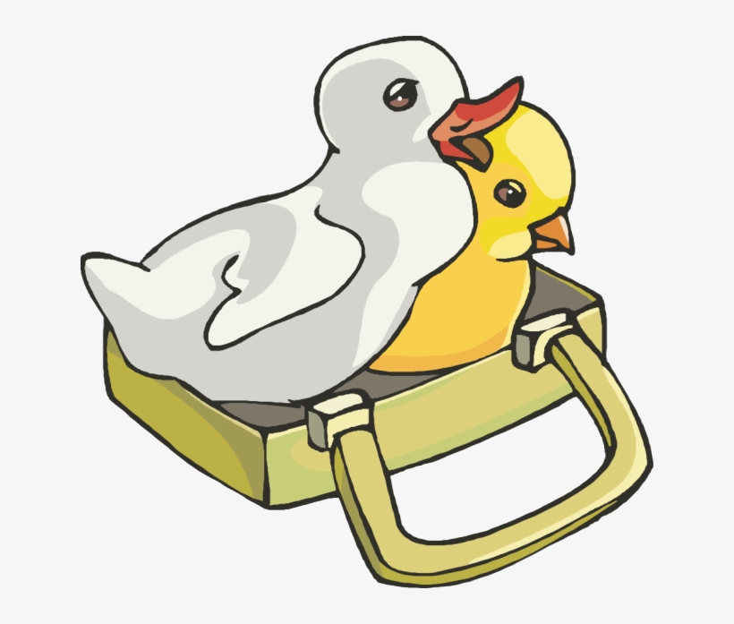 Chick And Duck Clipart, transparent png