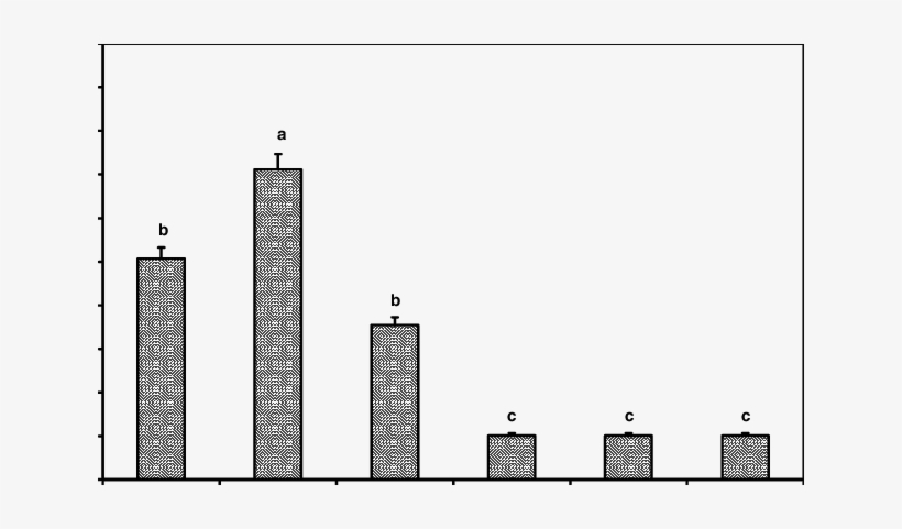Average Uptake Of Etbr By The Different Tropical Plants - Metropolitan Area, transparent png