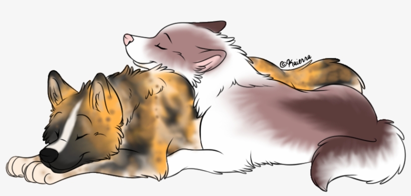 Picture - Swift Fox, transparent png
