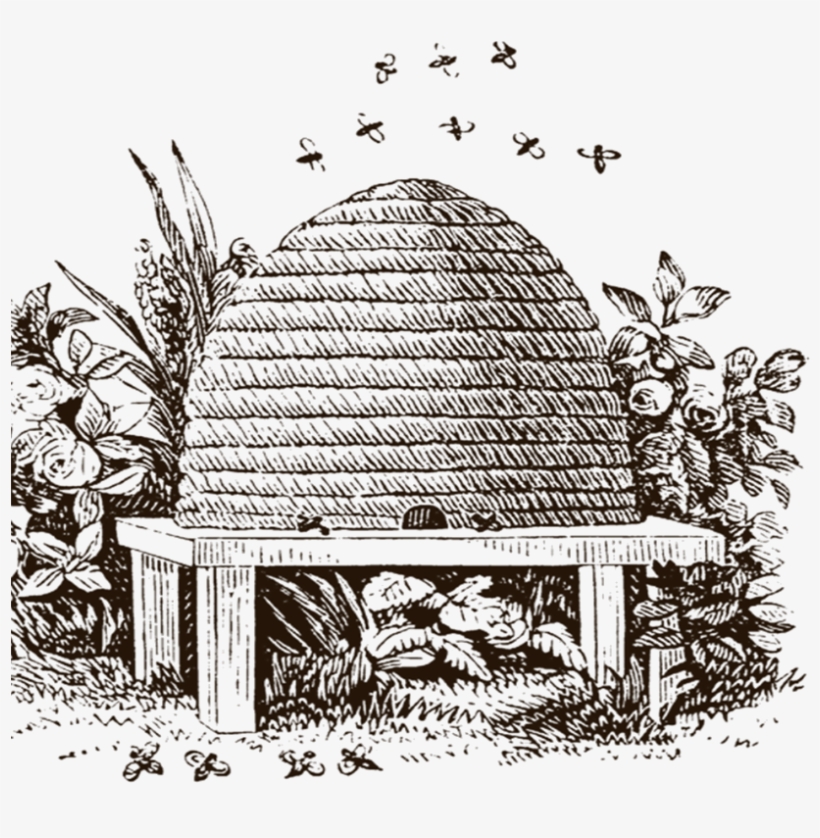 Beekeeping Workshop Feb, transparent png