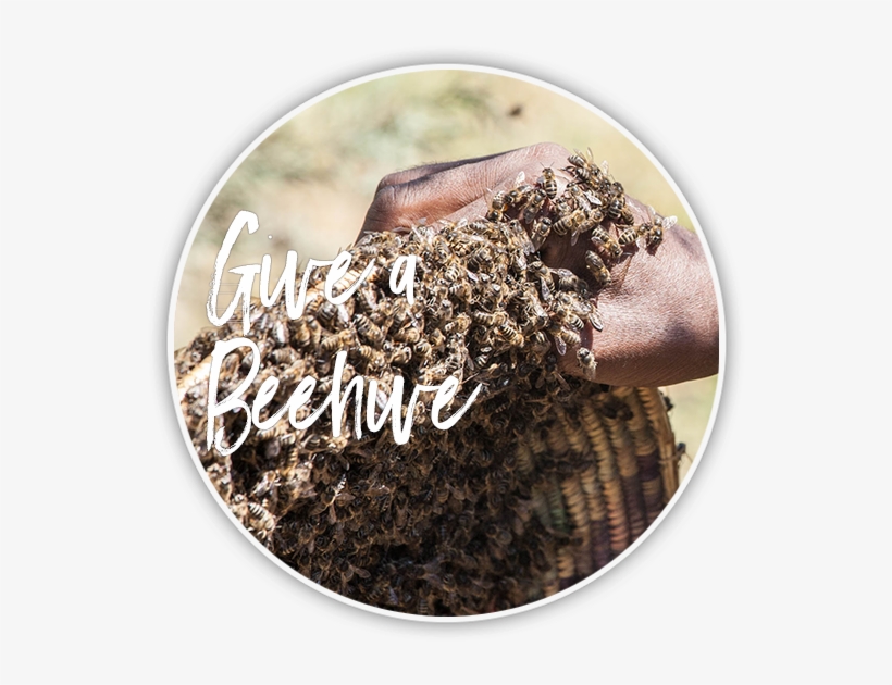 Beehive - Depositphotos, transparent png