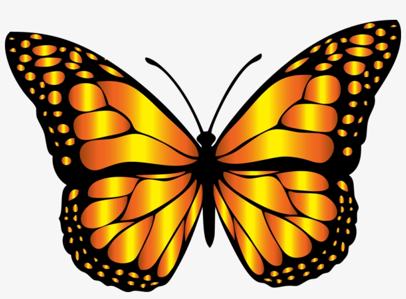 Monarch Butterfly Clipart, transparent png