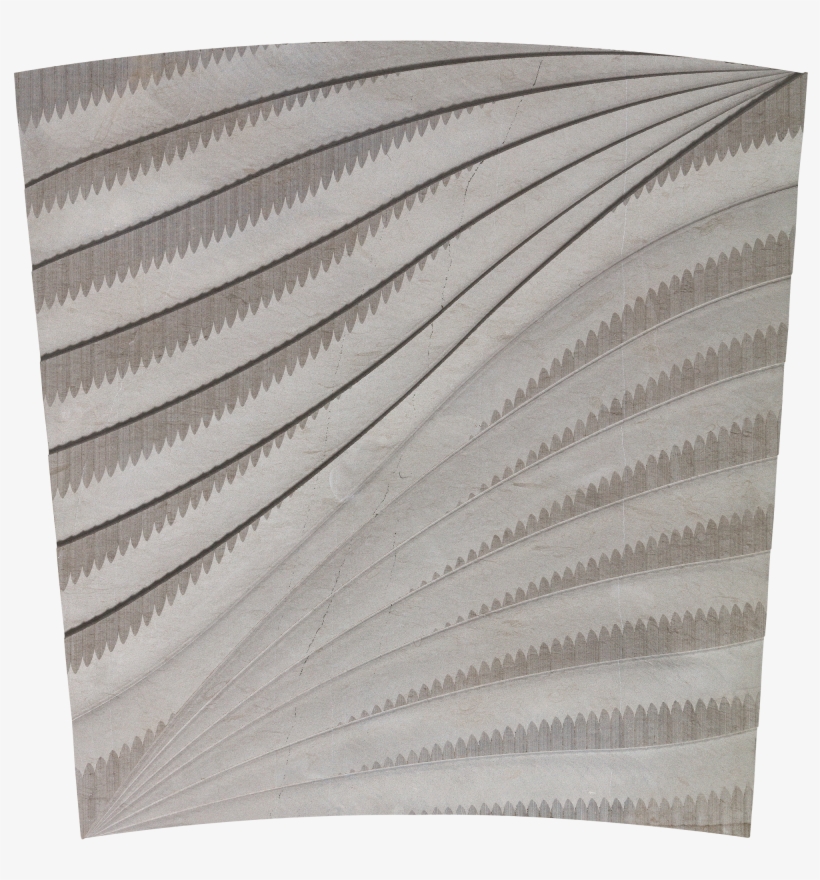 Graysonfoussana Sgrysgfm24 - Foussana, transparent png