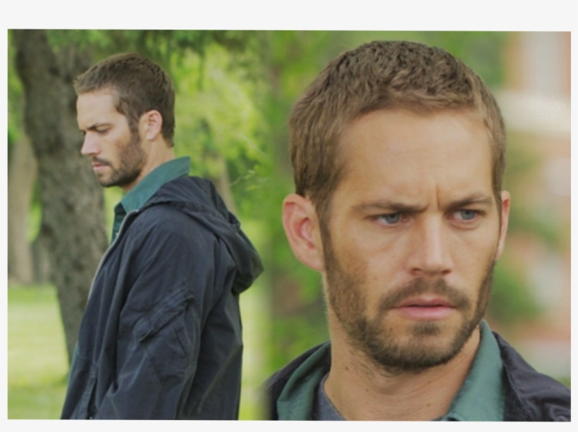 Paul Walker Movies - Das Lazarus Projekt Dvd, transparent png