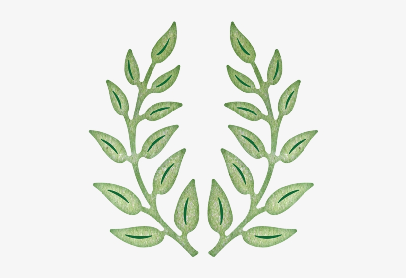 Olive Branch - Cheery Lynn Designs B147 Olive Branches Die Cut, transparent png