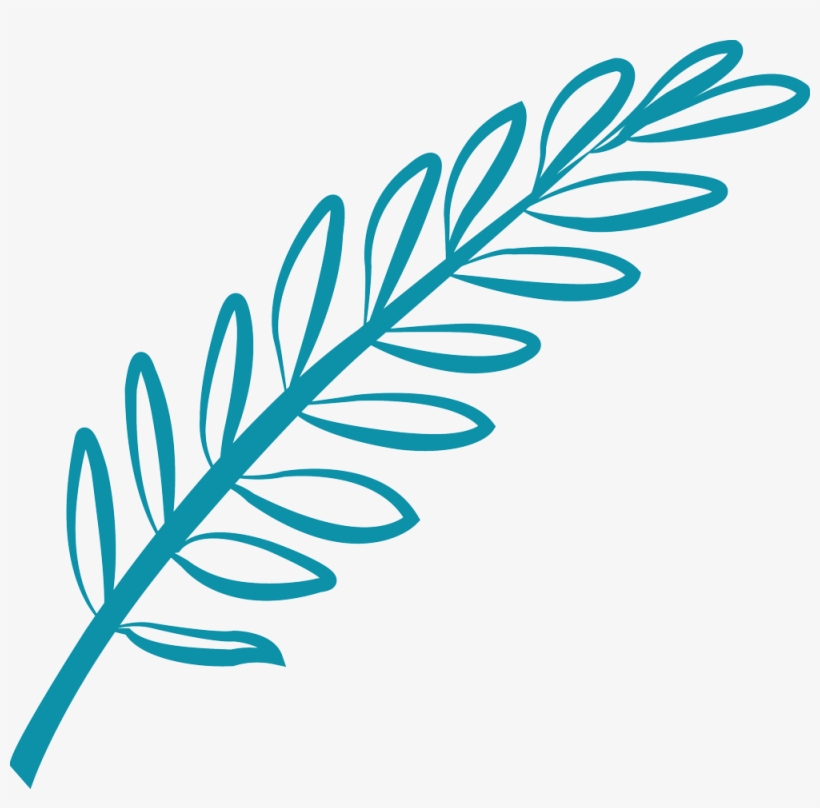 Thank You To Our Generous Sponsors And Supporters Olive, transparent png