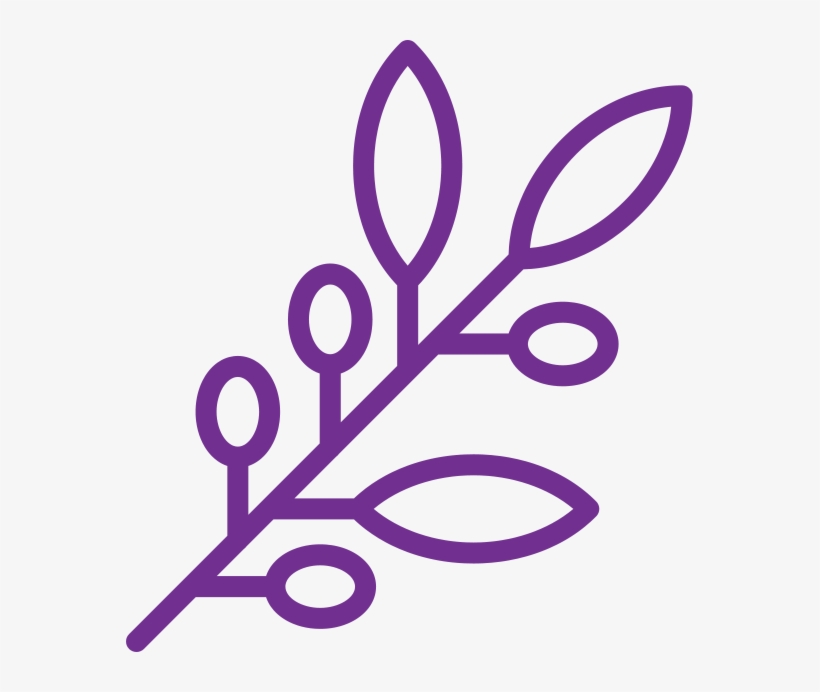 Olive-branch - Olive, transparent png
