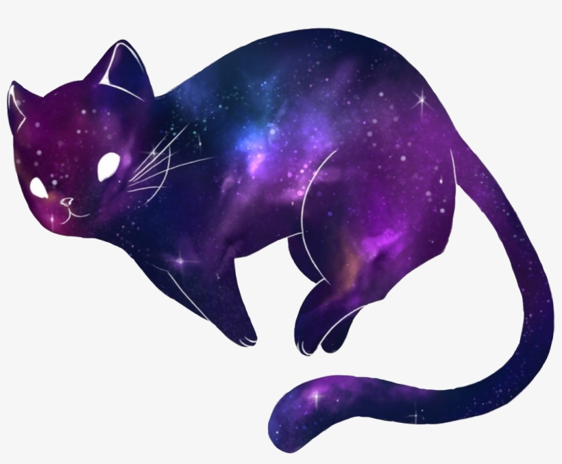 Kitty Cat Galaxy Galaxycat Galaxykitty Kitten Cute, transparent png