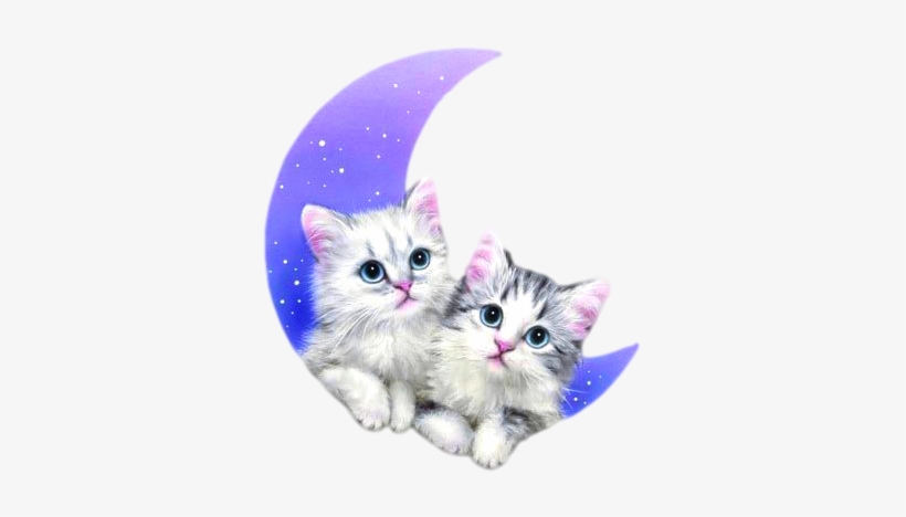 Kittens Transparent Cute Svg Library Library - Moving Pictures Good Night, transparent png