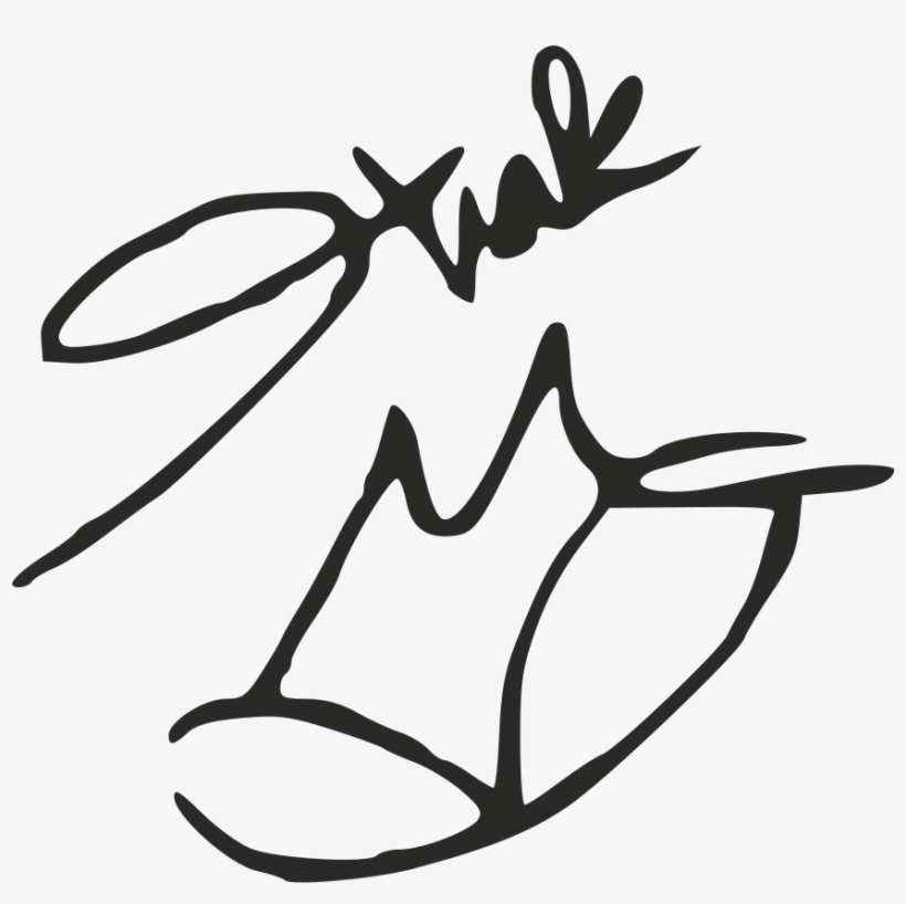 File - Shakirasignature - Svg - Shakira Signature, transparent png