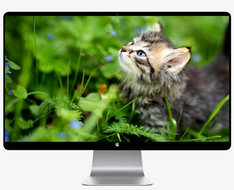 Apple Mac Mini - Core I5 1.4 Ghz - 4 Gb Ram - 500 Gb, transparent png