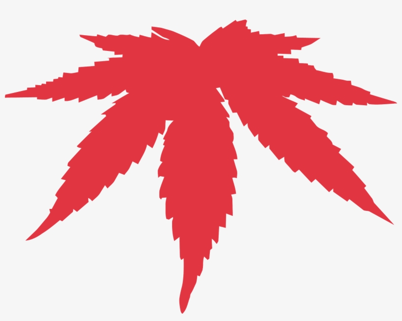 Is Cannabis Weed Oil A Miracle Drug - Cannabis Leaf Vector, transparent png