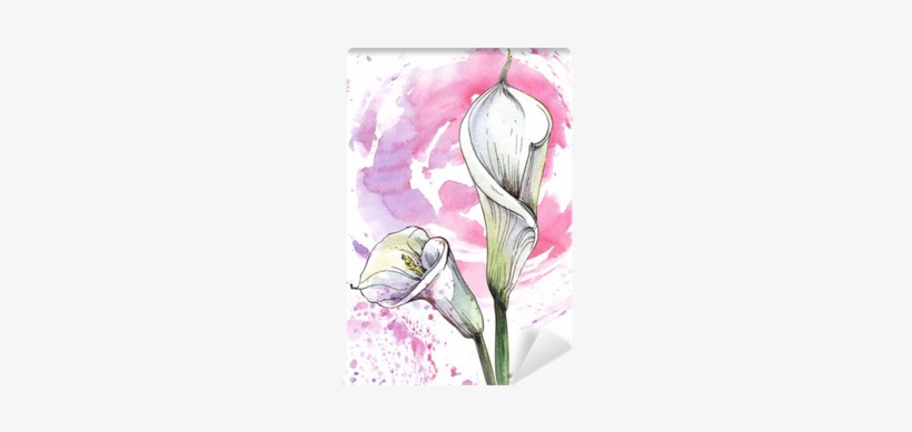 Flower Calla Watercolor Illustration Wall Mural • Pixers® - Watercolor Painting, transparent png
