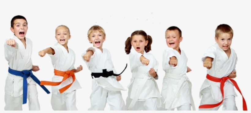 Cropped-taekwondo - Taekwondo Png, transparent png