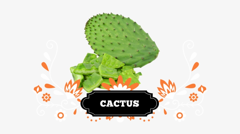 The Nopal Is One Of The Fundamental Symbols Of Mexico - Mexican Beer Png, transparent png
