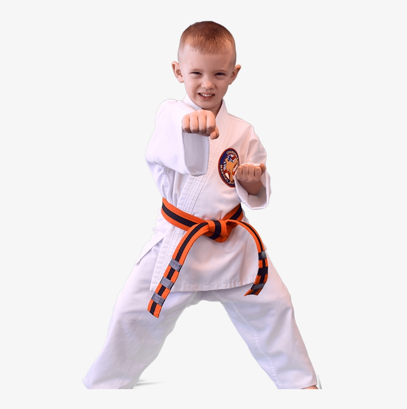 Kids Martial Arts Classes - Ohio, transparent png