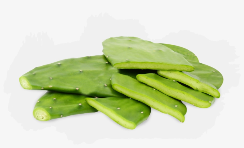 Nopales Are Thick, Oval, Flat, Modified Stems Of The - Nopal Vegetable, transparent png