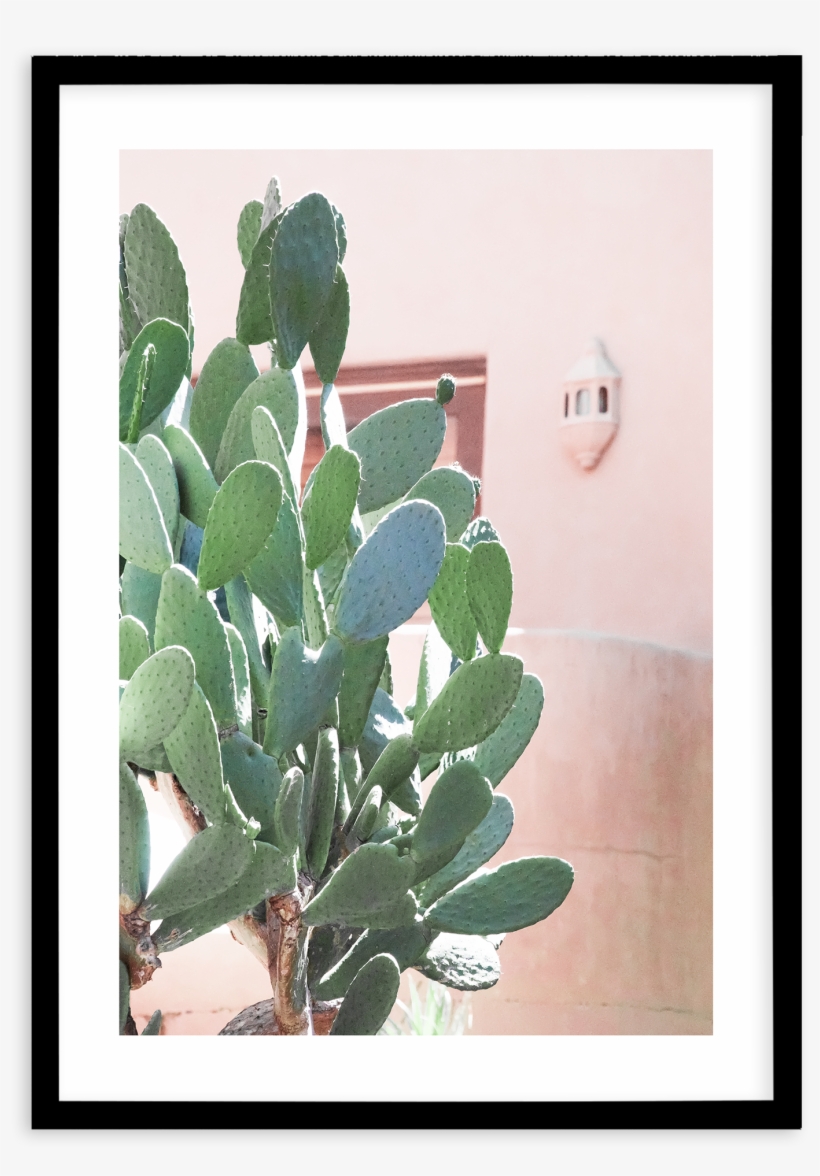 California Cactus No I - Poster, transparent png