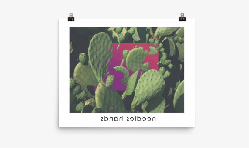 Needles Hands 12×16 - Eastern Prickly Pear, transparent png